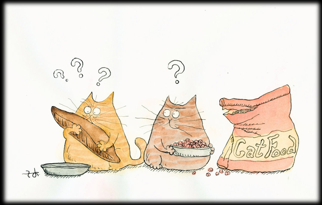 lRɃJcIuVāAǂ񂾁AH