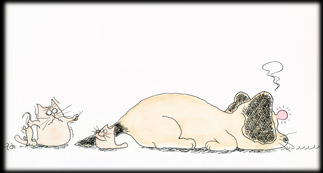 ꂪCkȂ񂩂܂ȂČ܂IH